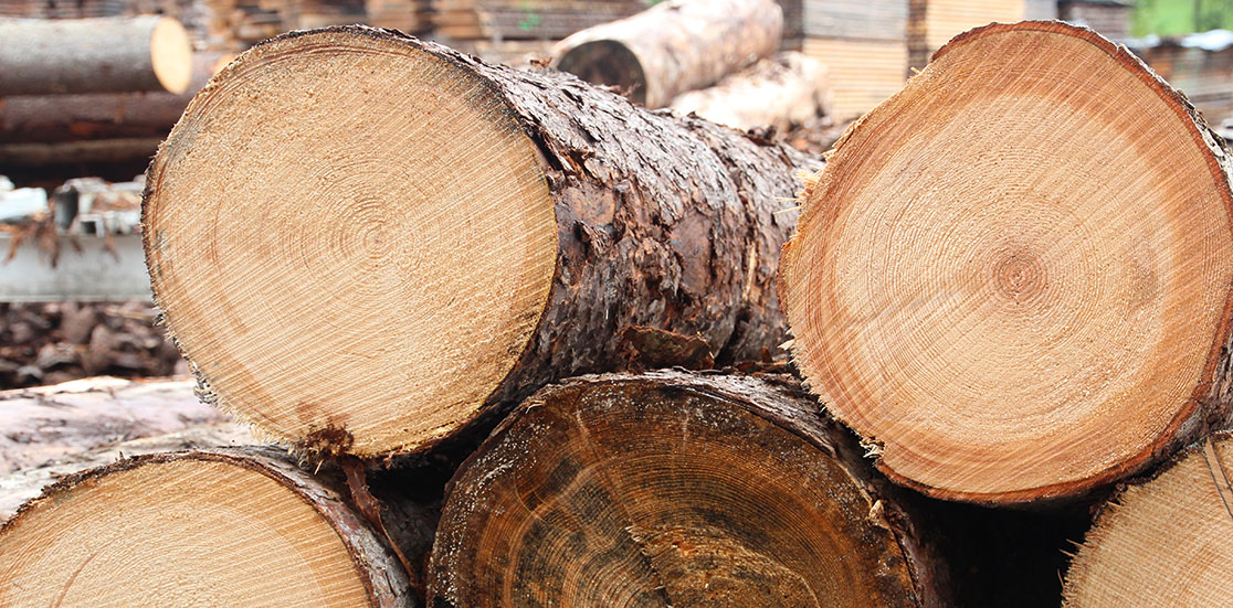 ruedersaege paletten bordbretter saegewerk rundholz kaufen
