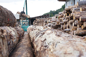ruedersaege paletten bordbretter saegewerk rundholz kaufen 2